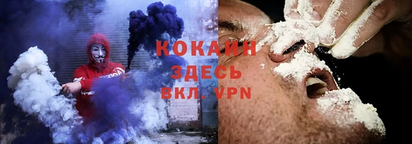 ГАЛЛЮЦИНОГЕННЫЕ ГРИБЫ Горно-Алтайск