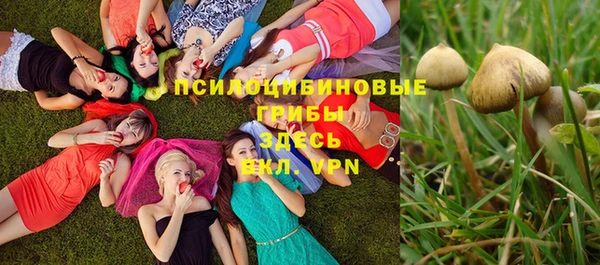 дмт Гусь-Хрустальный