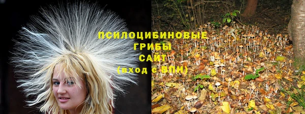 МДПВ Вязники